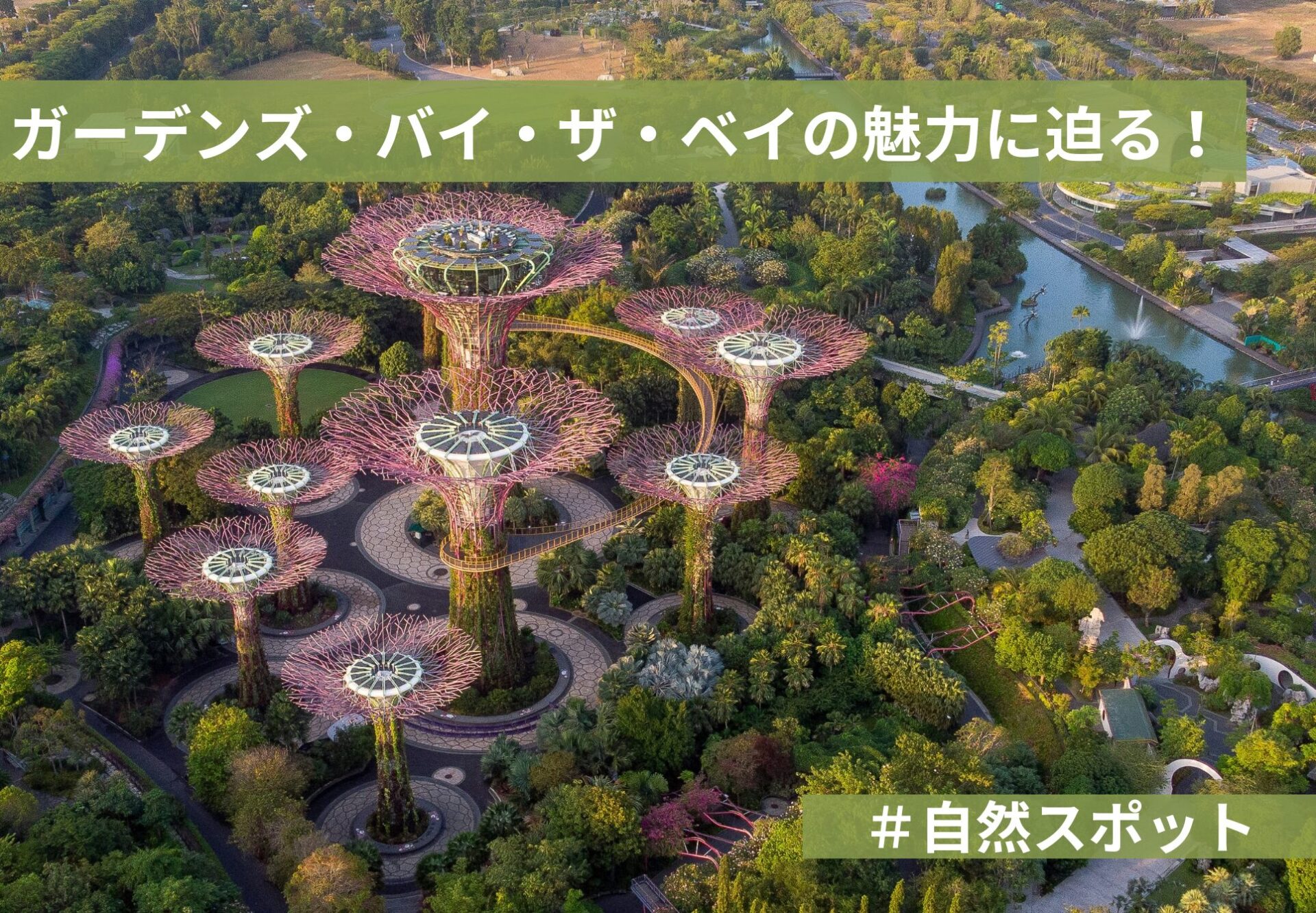 シンガポールの自然スポット：ガーデンズ・バイ・ザ・ベイの魅力に迫る